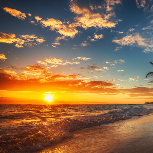 Why I Composed Between My Heart and Obligation